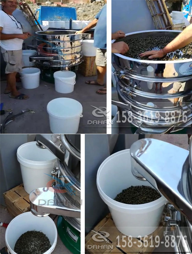 酸豆绿巨人成人网站分机试机效果展示