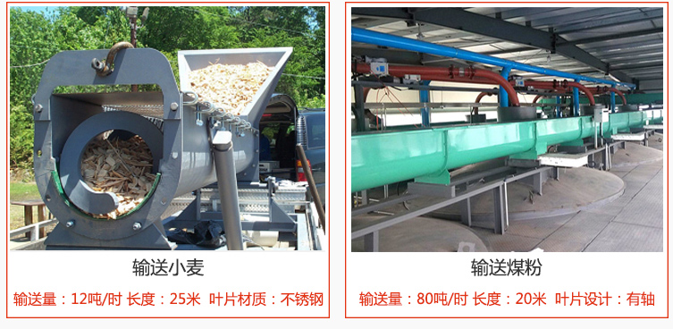 绞龙螺旋输送机输送小麦输送量在12吨/时，长度为25米，叶片采用不锈钢材质；输送水泥输送量在80吨/时，长度为20米，叶片设计为有轴。