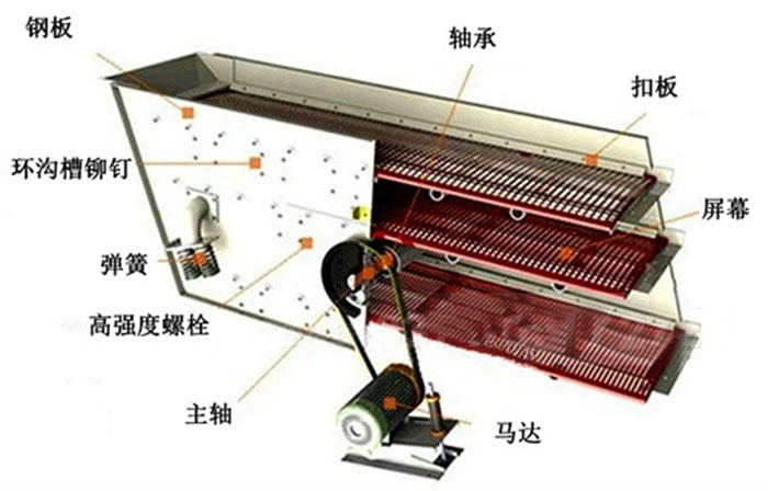 圆绿巨人成人网站结构图